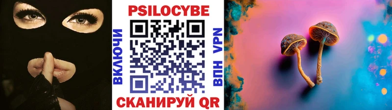Галлюциногенные грибы Cubensis  Купить  Отрадное 