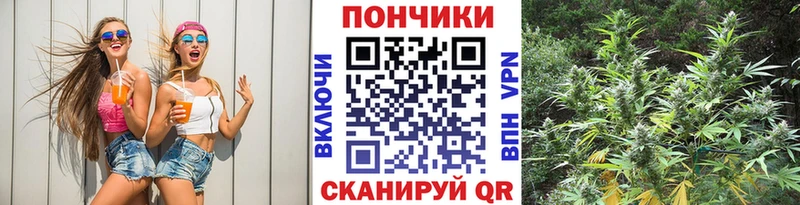 Купить где  Отрадное  Шишки марихуана THC 21% 